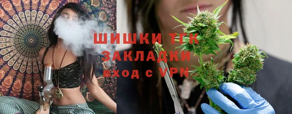 гидра Армянск
