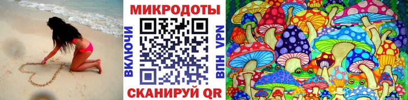 Псилоцибиновые грибы Cubensis  Краснодар 